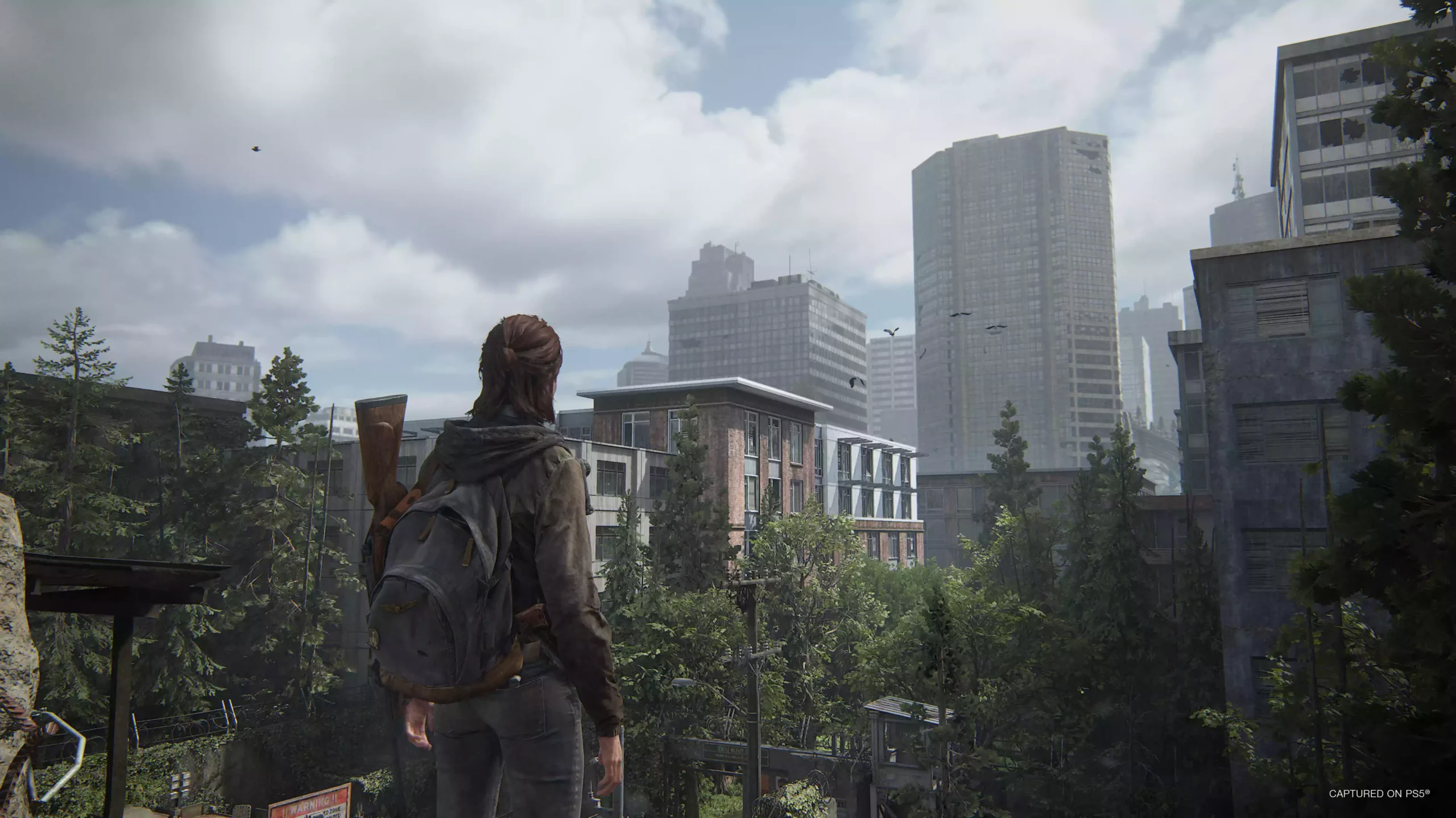 The Last of us II: Remastered