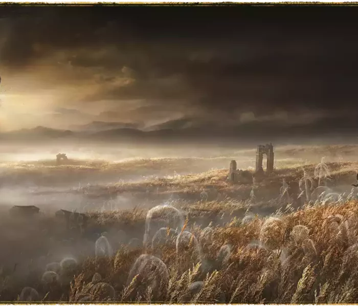 ELDEN RING Shadow of the Erdtree informacja o dacie premiery dodatku